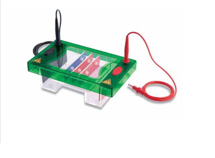 Consort,電泳槽,EHS1050-SYS,EHS1100-SYS,EHS1101-SYS,EHS1102-SYS,EHS1200-SYS,EHS1201-SYS,EHS1202-SYS,EHS1300-SYS,EHS1301-SYS,EHS1302-SYS,EHS1303-SYS