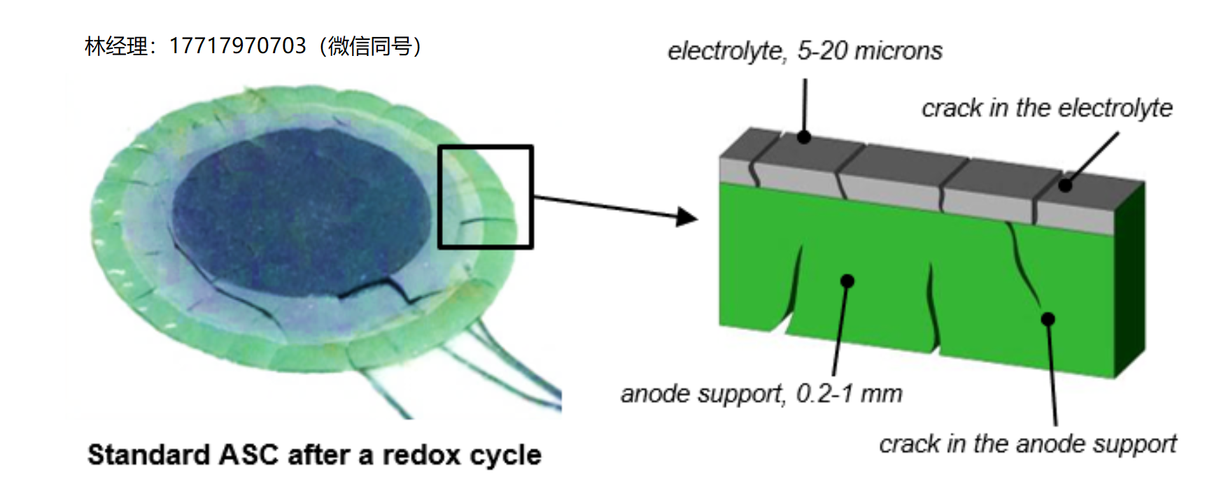 標準ASC僅在一次再氧化循環后就被完全破壞(左)。這源于二次氧化過程中陽極基底的膨脹導致的陽極和電解質中的微裂紋(右圖)。