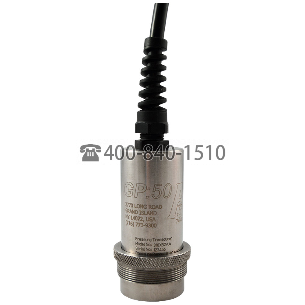 GP:50-壓力變送器Model 218/318 | Sanitary Flush Diaphragm Pressure Transmitter