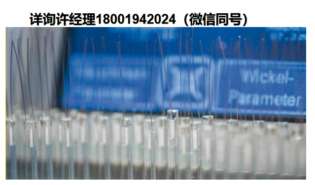 H. Heinz Me?widerst?nde GmbH 溫度傳感器 Platinum RTDs 鉑電阻溫度探頭