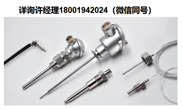 H. Heinz Me?widerst?nde GmbH電阻溫度計? 插入式/螺紋式電阻溫度計 R254/R270/R270G /R271 /R272/R273/R275系列