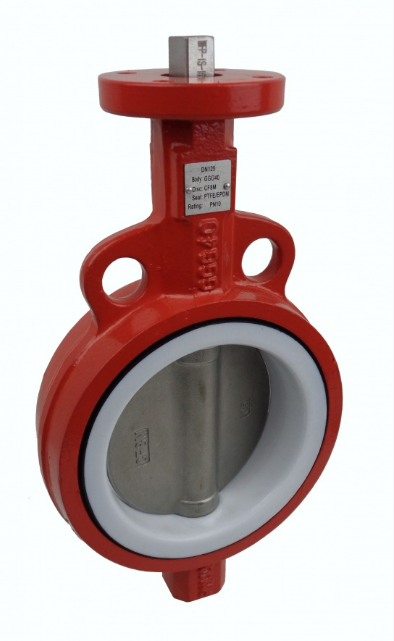 意大利 ITALVALVOLE Butterfly valves 蝶閥 15553 – SPO/C/WAF BUTTERFLY V. DN065 GJS/316 PTFE PN10 BS