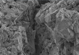 美國 MO SCI 生物活性玻璃 Porogran