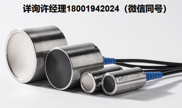 Precision Acoustics Ltd 超聲波傳感器PA Piezo-ceramic transducers 壓電陶瓷換能器 PA進口代理