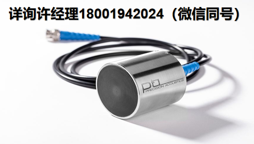 Precision Acoustics Ltd 超聲波換能器 Shear wave transducers 剪切波換能器 PA進口代理