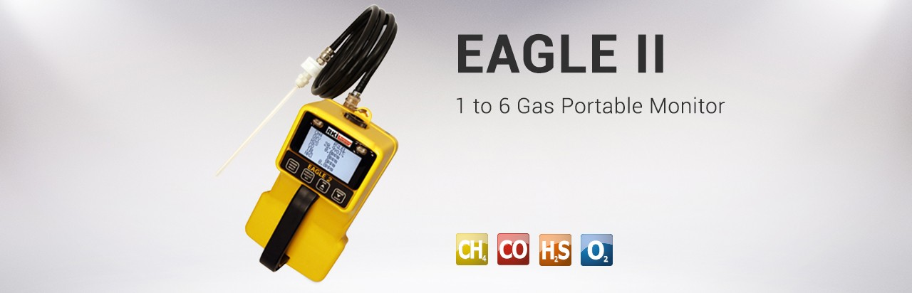 德國 RKI Analytical Instruments EAGLE II 1 to  6 Gas Portable Monitor EAGLE II 便攜式氣體監(jiān)測(cè)儀