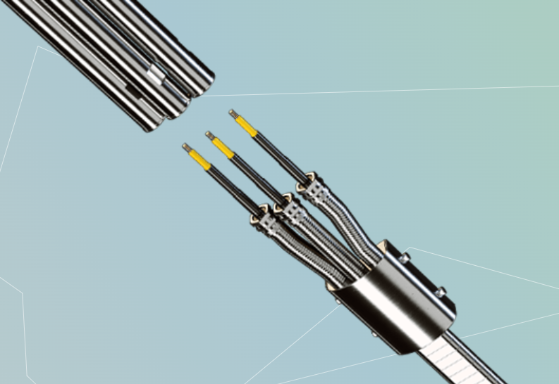 Rmspumptools 電氣穿透器和連接器系統(tǒng),分相