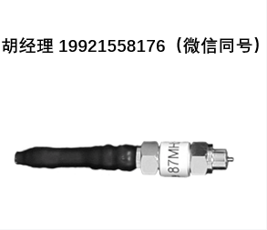 Sat-kabel LS-87泄漏點探頭（87.265 MHz，有源），用于CATV系統中的泄漏點查找