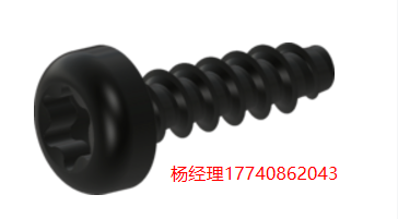 德國 Screwerk 塑料螺釘 – 帶 TX 驅(qū)動的盤頭 STP39 系列 STP390100035B