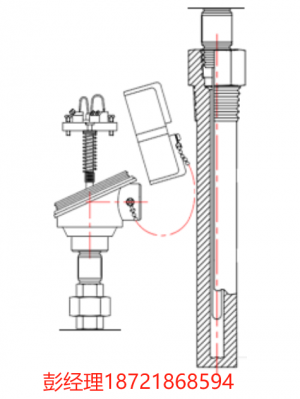 美國THERMO ELECTRIC 電阻溫度探測器 RTDs