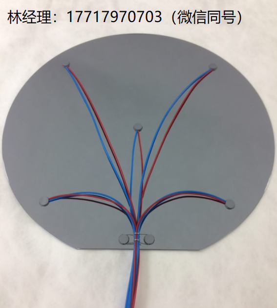 Thermo Electric,TC-1200,TC WAFER,高溫/高純度晶圓,用于需要精確測量和控制硅晶圓表面溫度的場景