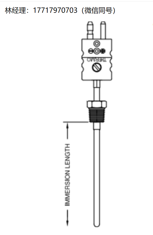 THERMO ELECTRIC,浸入式熱電偶