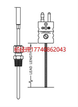 美國 Thermo Electric 熱電偶 帶玻璃纖維引線的熱電偶