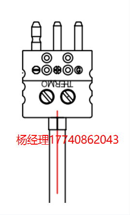 美國 Thermo Electric 熱電偶 帶快速斷開連接器的探頭 浸入式