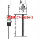 美國 Thermo Electric 熱電偶 帶玻璃纖維引線的熱電偶