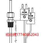 美國 Thermo Electric 熱電偶 帶 PVC 引線的熱電偶