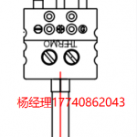 美國 Thermo Electric 熱電偶 帶快速斷開連接器的探頭 浸入式