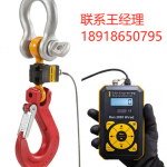 Eilon Engineering Ron 2000 有線起重機秤Ron 2000 具有極長的電池壽命，使用 AA 一次性電池可運行長達 2000 小時無線起重機體重秤，測量范圍為 30 噸